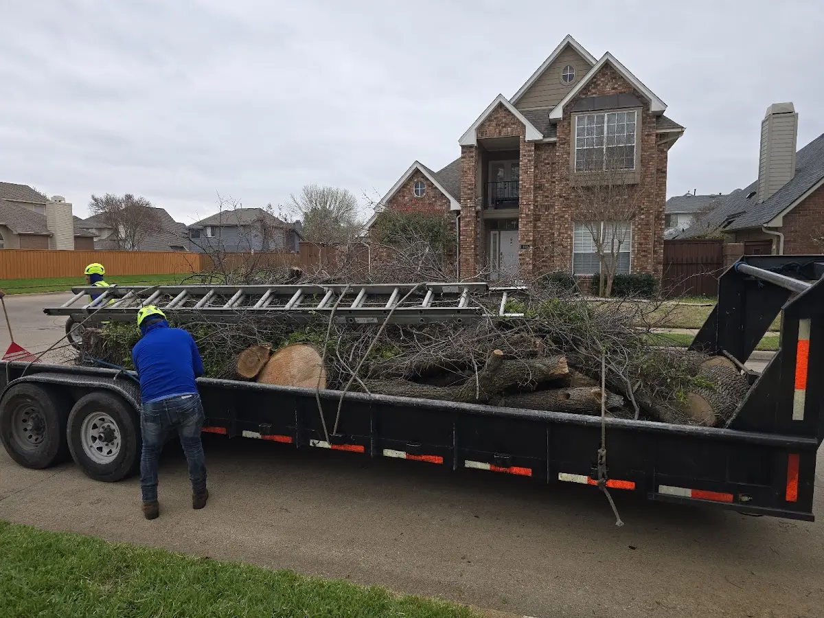 Expert Lot Clearing with proper safety equipment in Geneva